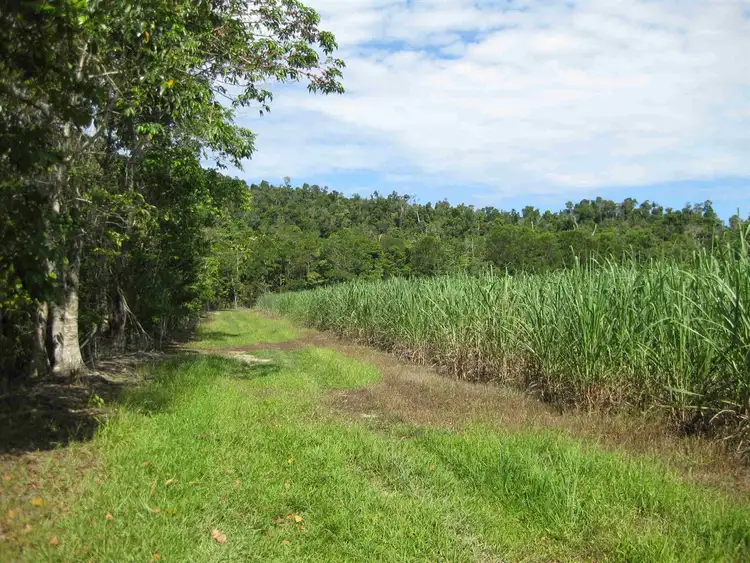 Third view of Homely rural property listing, Address available on request