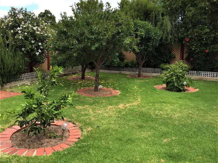 Fourth view of Homely house listing, 6 Harvest Drive, Mclaren Vale SA 5171