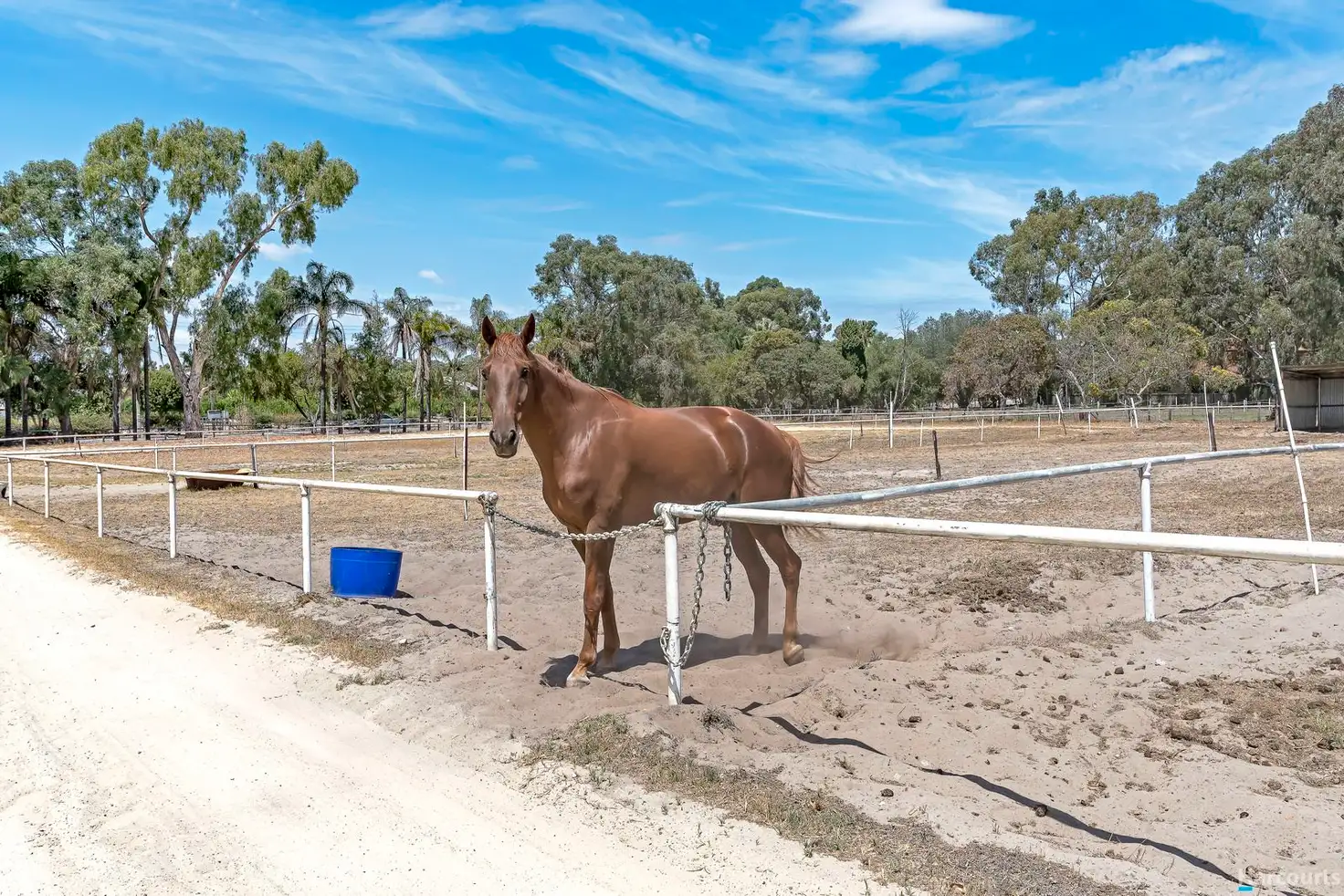 Main view of Homely rural property listing, 269 Dundebar Road, Wanneroo WA 6065
