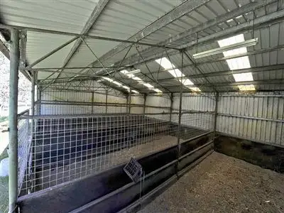 Fifth view of Homely rural property listing, 19 Mears Road, Barragup WA