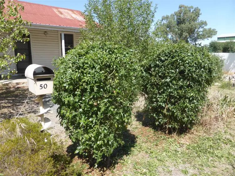 50 Wallace Street, Holbrook NSW 2644