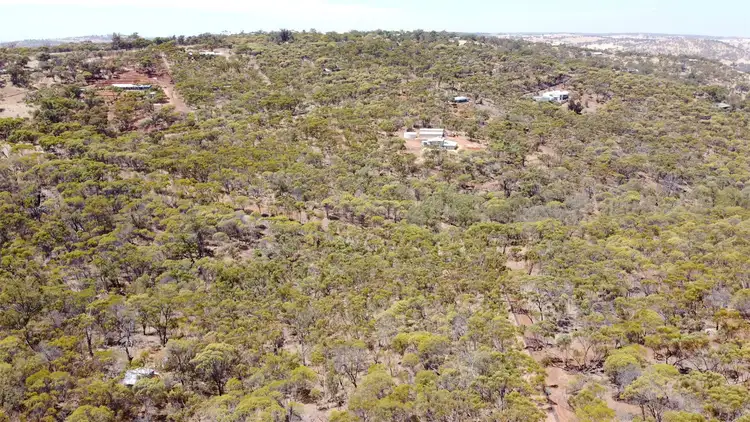 Fifth view of Homely land listing, 110 Horseshoe Road, Coondle WA 6566