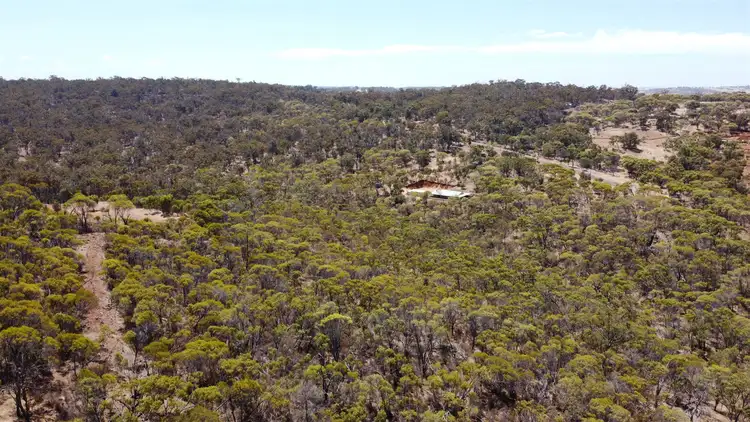 Sixth view of Homely land listing, 110 Horseshoe Road, Coondle WA 6566