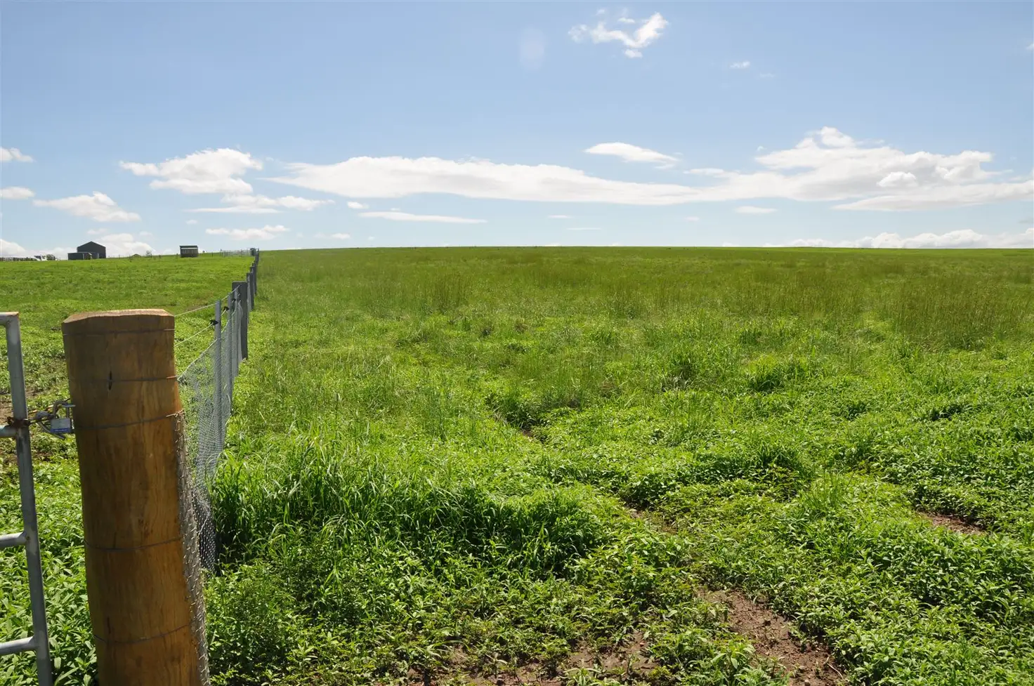 Main view of Homely land listing, 6 Bakewell Cct, Scone NSW 2337