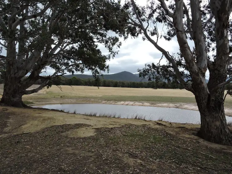 Third view of Homely rural property listing, 145 Regulating Basin Rd, Mafeking VIC 3379