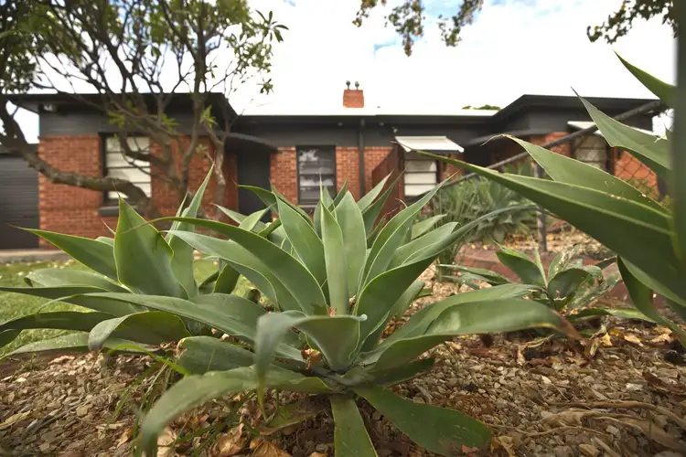 Second view of Homely house listing, 33 Spring Street, Beverley SA 5009