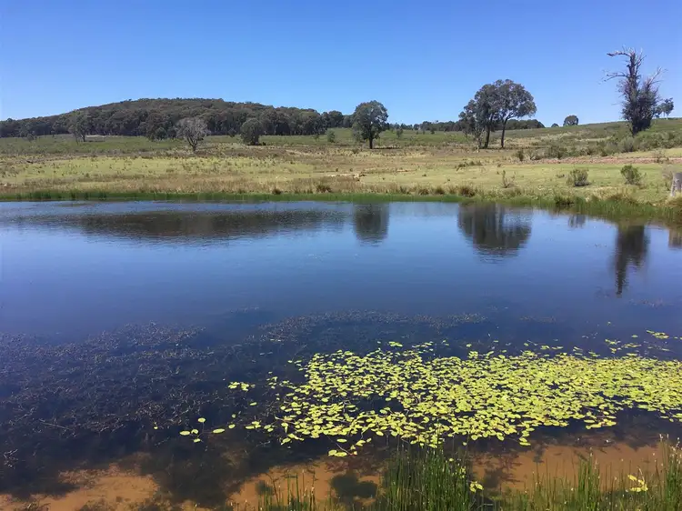 Lot 14/587 Bonds Road, Hargraves NSW 2850