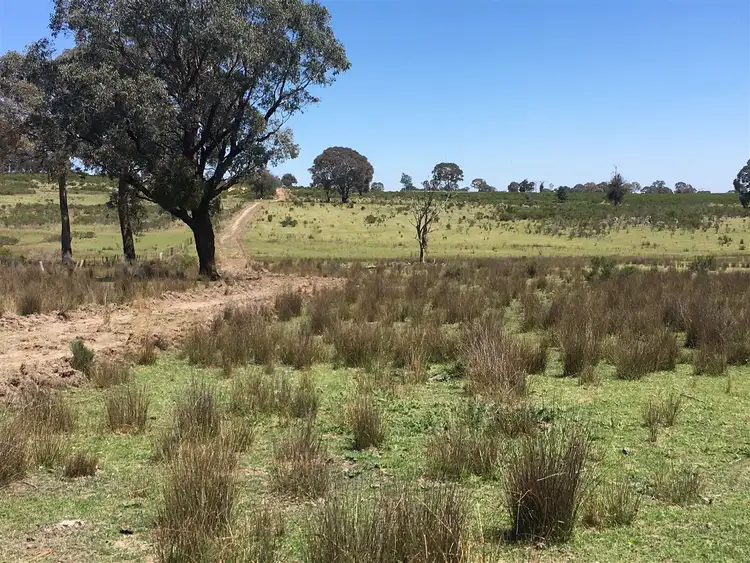 Second view of Homely rural property listing, Lot 14/587 Bonds Road, Hargraves NSW 2850