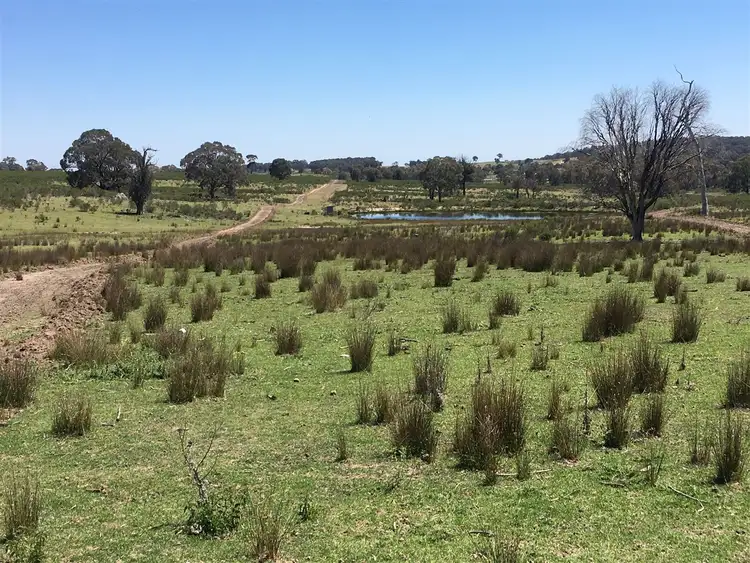 Third view of Homely rural property listing, Lot 14/587 Bonds Road, Hargraves NSW 2850