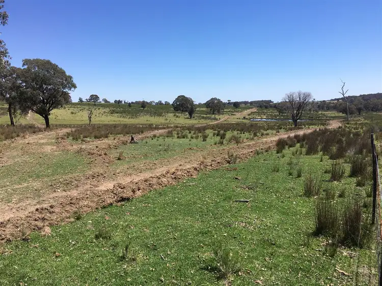 Fourth view of Homely rural property listing, Lot 14/587 Bonds Road, Hargraves NSW 2850