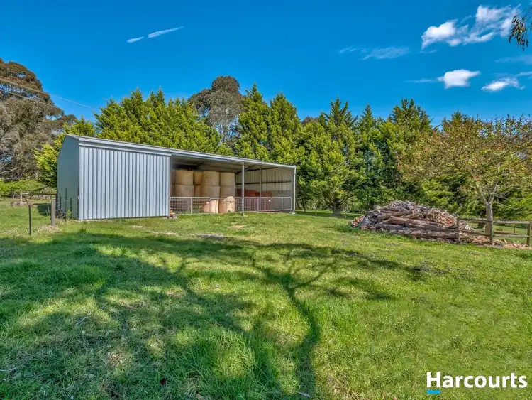 Seventh view of Homely rural property listing, 65 Meadow Lane, Newborough VIC 3825