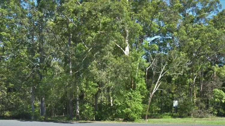 Fifth view of Homely house listing, 6 Mahogany Way, Wauchope NSW 2446