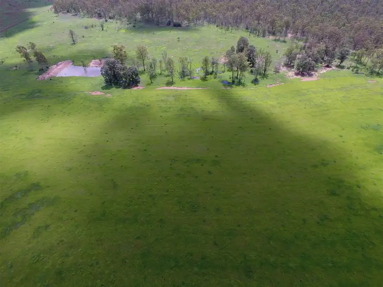 Main view of Homely rural property listing, 305 Tingoora Rd, Darr Creek QLD 4413