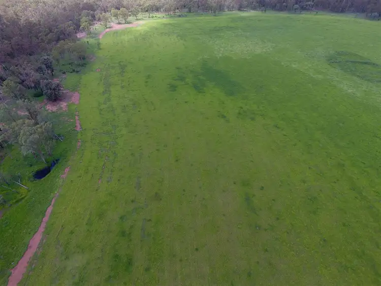 Third view of Homely rural property listing, 305 Tingoora Rd, Darr Creek QLD 4413