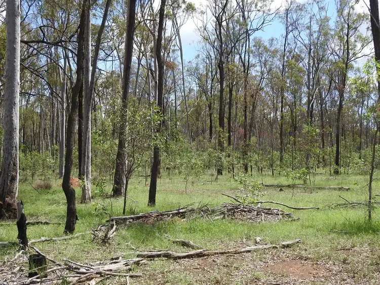 Sixth view of Homely rural property listing, 305 Tingoora Rd, Darr Creek QLD 4413