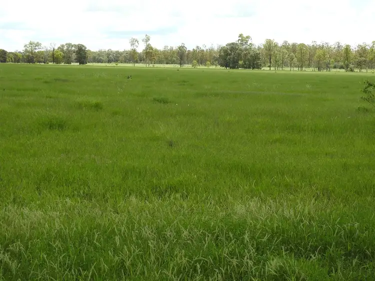Seventh view of Homely rural property listing, 305 Tingoora Rd, Darr Creek QLD 4413