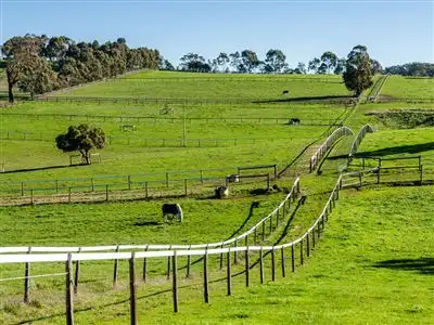 Main view of Homely house listing, 81 Snelling Road, Hahndorf SA