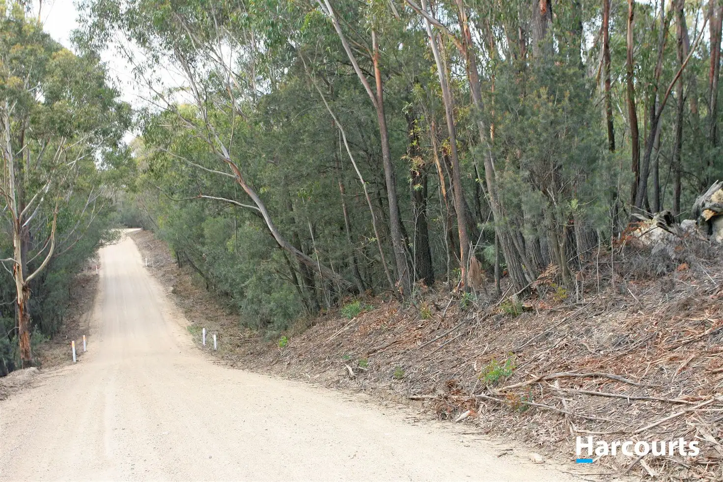 Main view of Homely rural property listing, PID 7731463 Basin Creek Road, St Helens TAS 7216