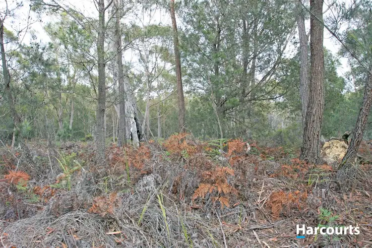 Third view of Homely rural property listing, PID 7731463 Basin Creek Road, St Helens TAS 7216