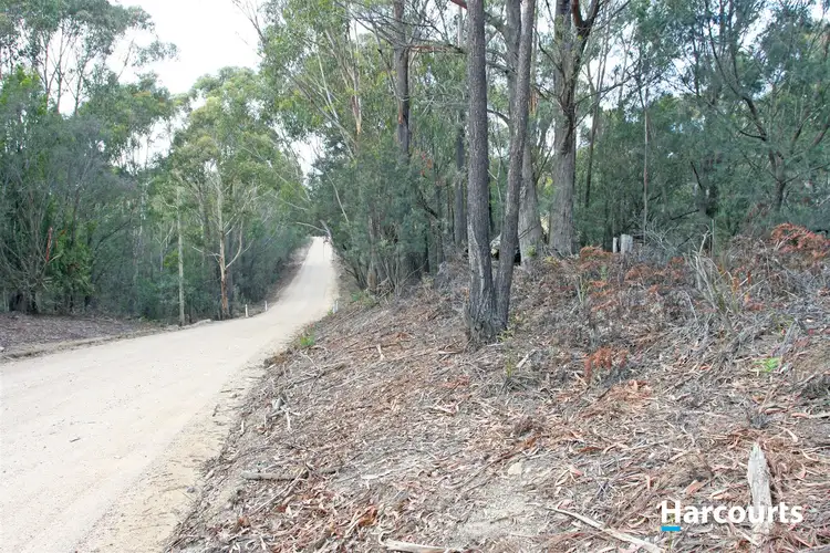 Fifth view of Homely rural property listing, PID 7731463 Basin Creek Road, St Helens TAS 7216