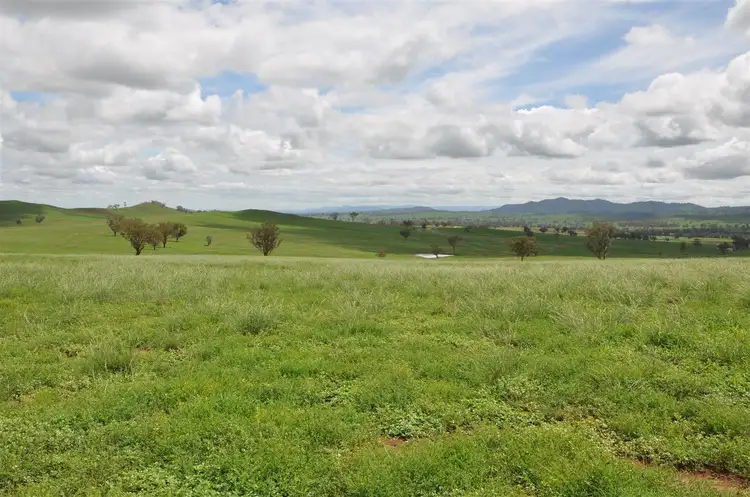 . 'Lucella', Lindsays Gap Rd, Nundle NSW 2340