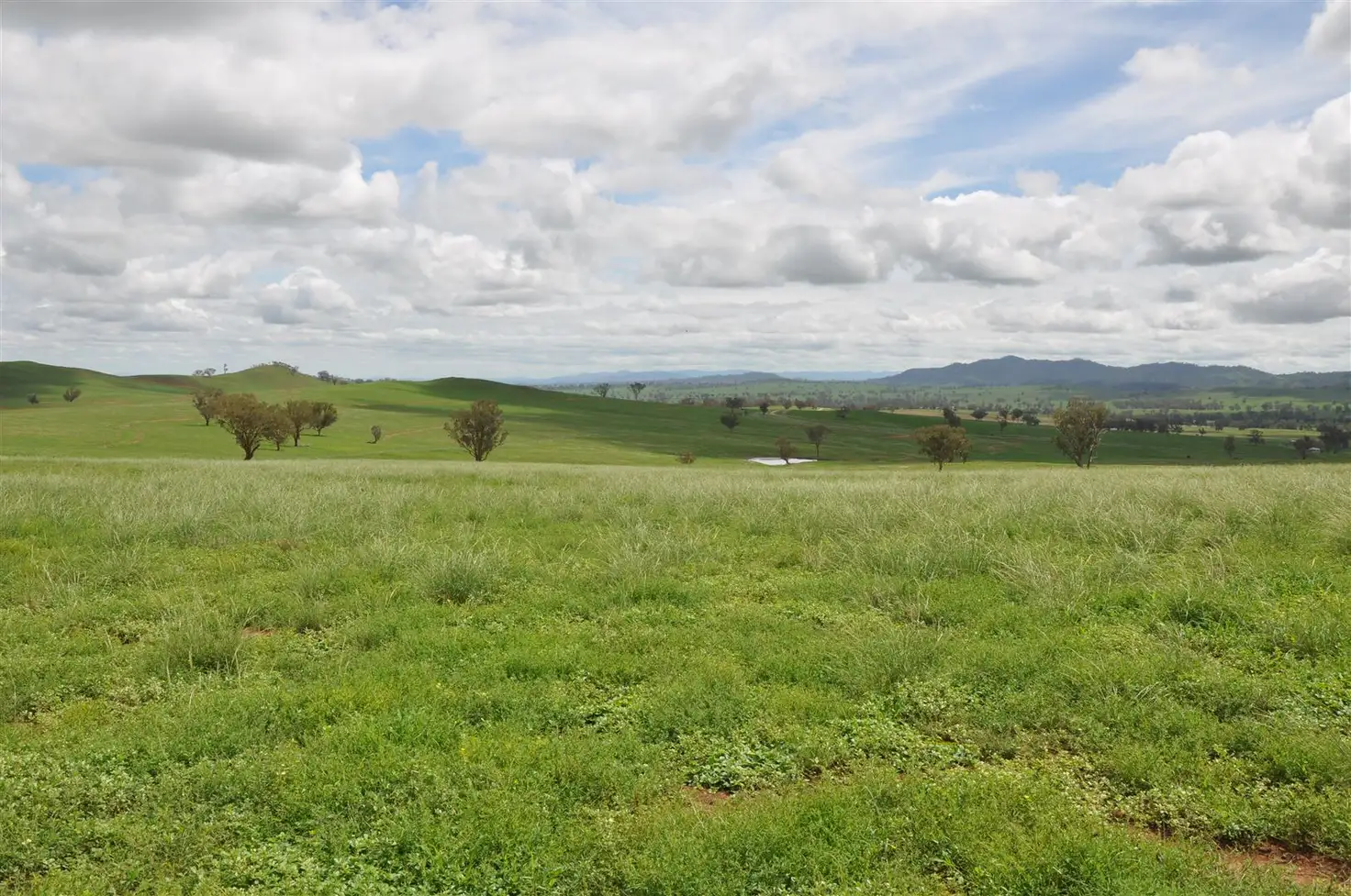 Main view of Homely rural property listing, . 'Lucella', Lindsays Gap Rd, Nundle NSW 2340