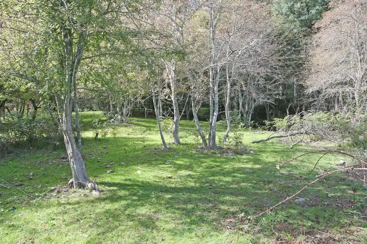 Third view of Homely land listing, Lot 6 Gardiners Creek Road, St Marys TAS 7215