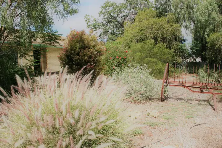 4 Ross Street, Waikerie SA 5330