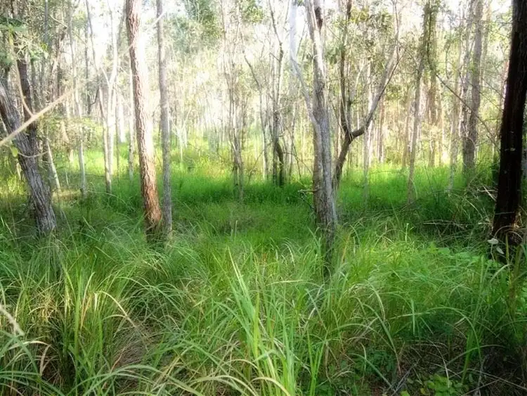 Third view of Homely rural property listing, 293-319 The Yachtsmans Drive, Burrum River QLD 4659