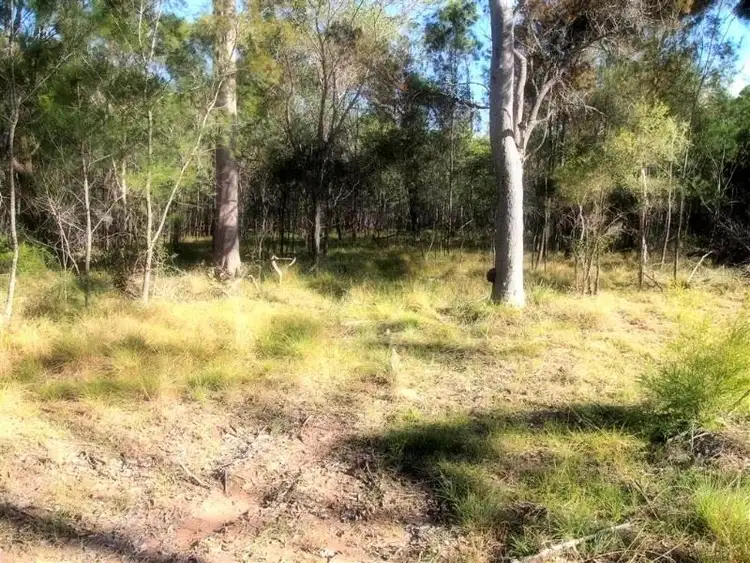 Seventh view of Homely rural property listing, 293-319 The Yachtsmans Drive, Burrum River QLD 4659