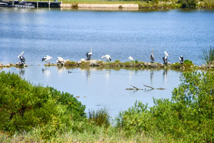 113 Wentworth Parade, Hindmarsh Island SA 5214