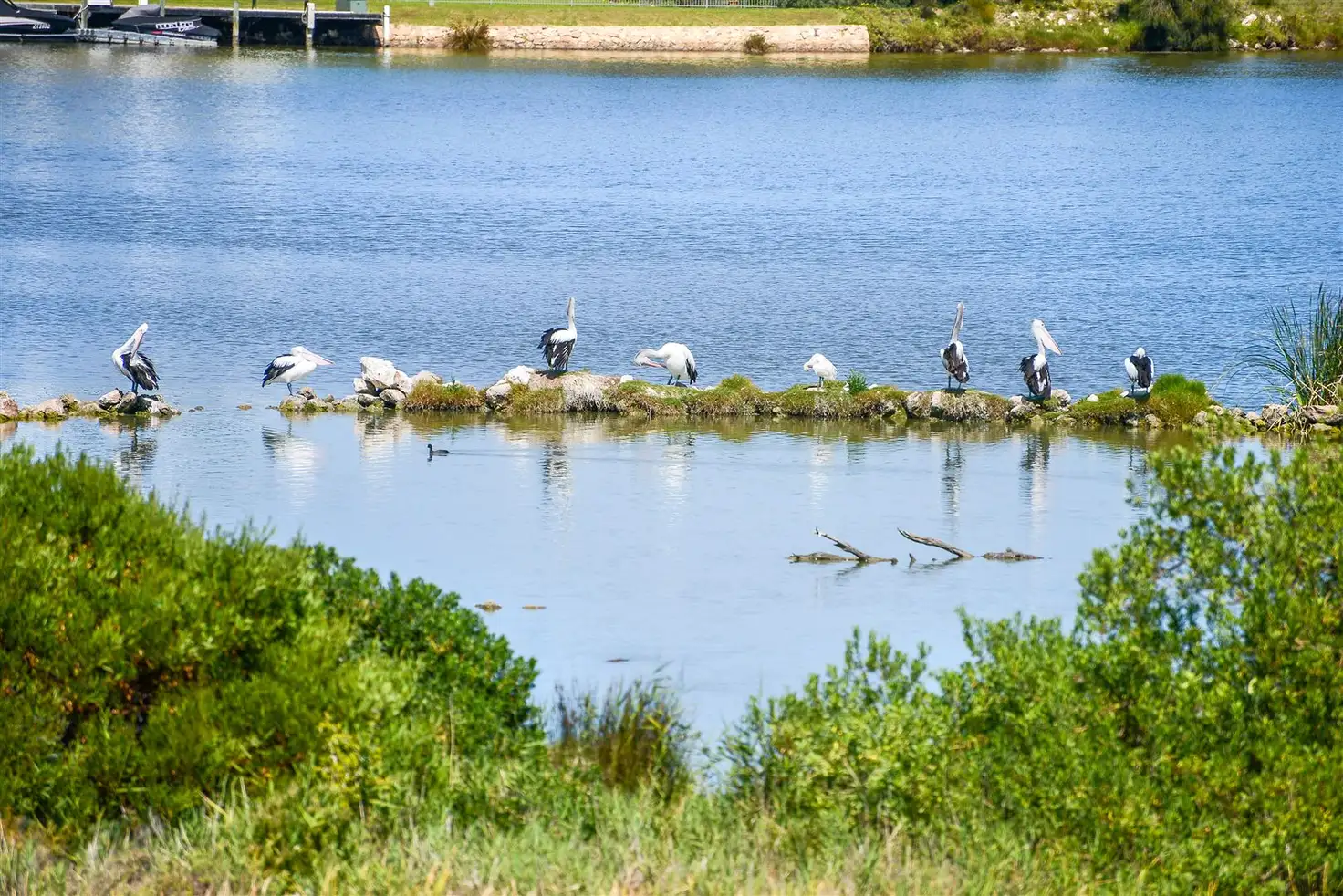 Main view of Homely house listing, 113 Wentworth Parade, Hindmarsh Island SA 5214