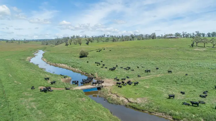 14290 Thunderbolts Way, Walcha NSW 2354