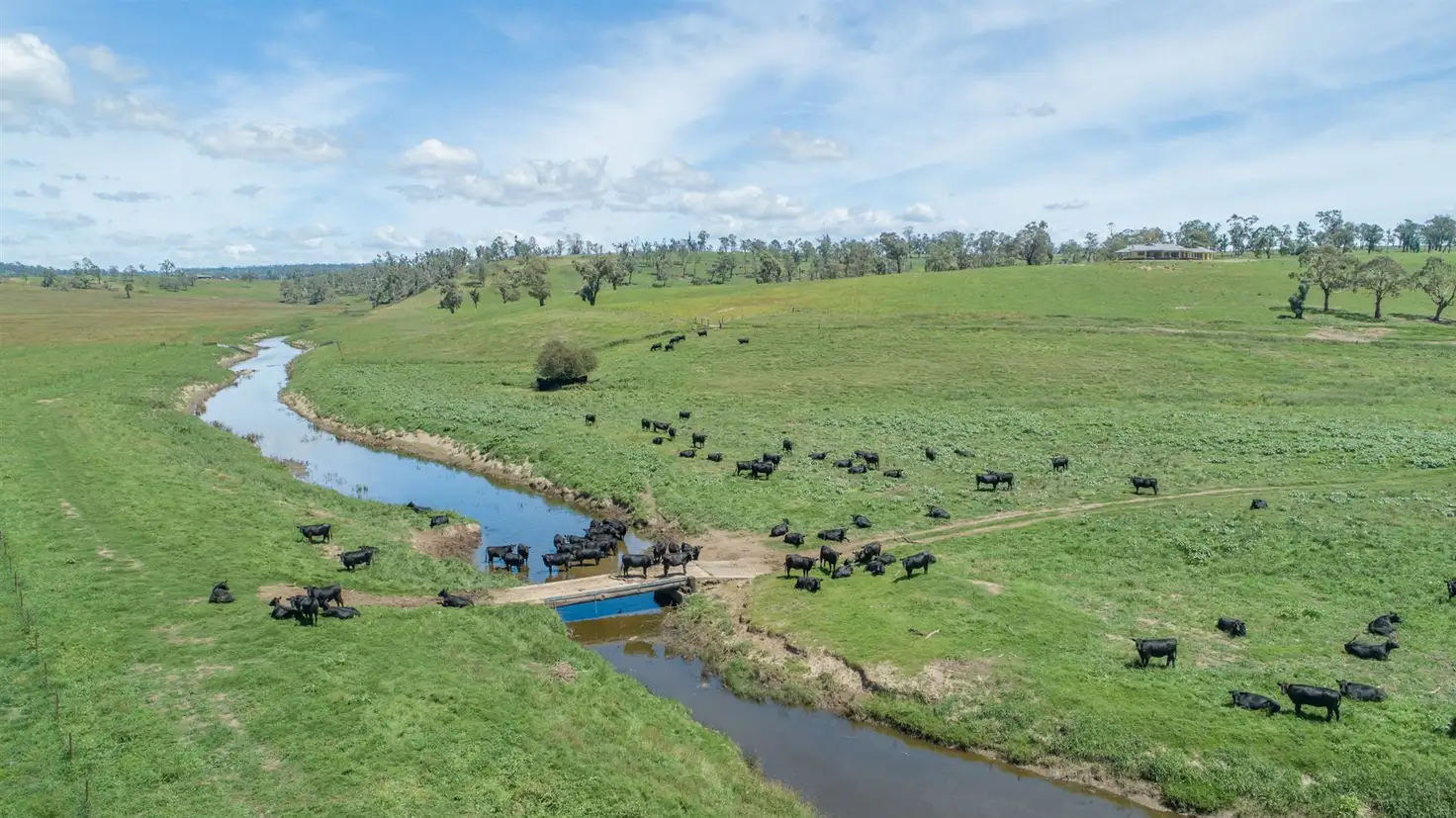 Main view of Homely rural property listing, 14290 Thunderbolts Way, Walcha NSW 2354