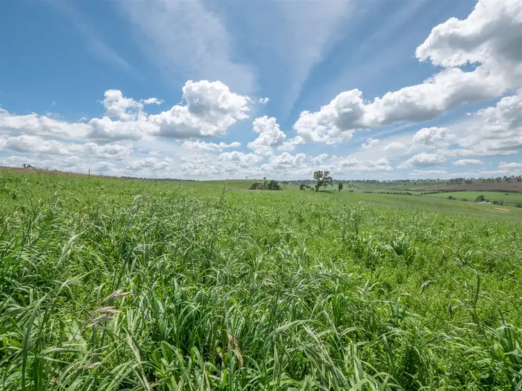 Fourth view of Homely rural property listing, 14290 Thunderbolts Way, Walcha NSW 2354