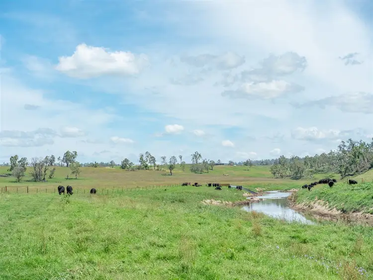 Fifth view of Homely rural property listing, 14290 Thunderbolts Way, Walcha NSW 2354