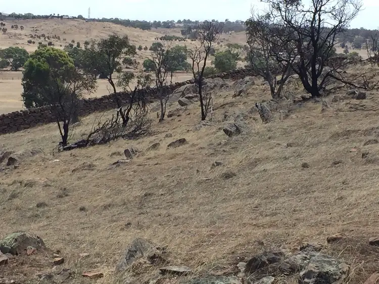 Second view of Homely rural property listing, Lot 13/13 Strachans Rd, Springton SA 5235