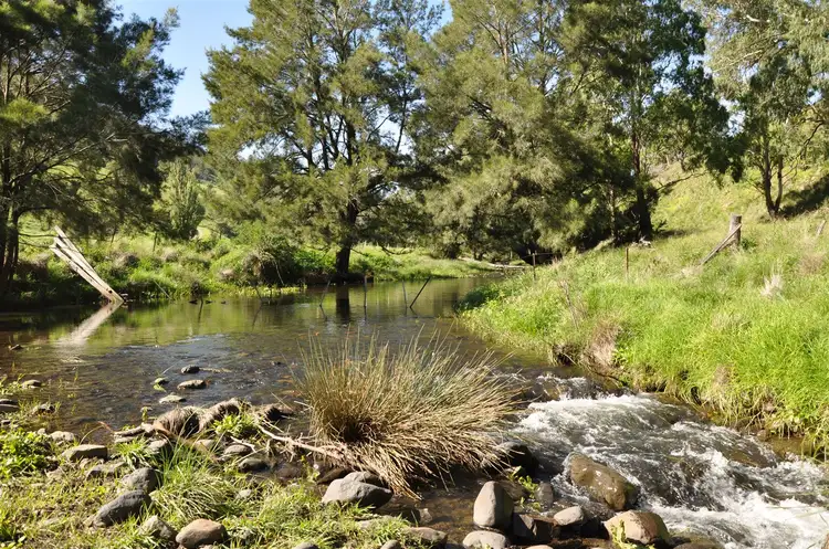 Main view of Homely rural property listing, Lots 71 & 125 Carters Rd, Stewarts Brook NSW 2337