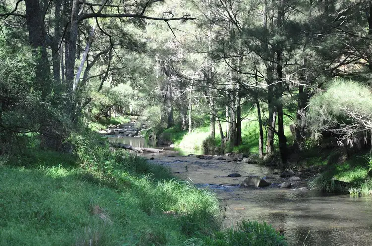 Second view of Homely rural property listing, Lots 71 & 125 Carters Rd, Stewarts Brook NSW 2337