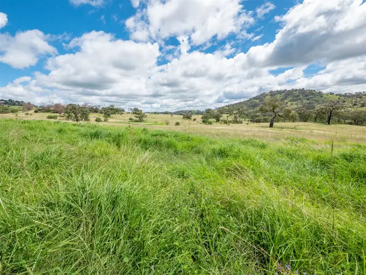 Third view of Homely rural property listing, 1155 Bindawalla Rd, Bundarra NSW 2359