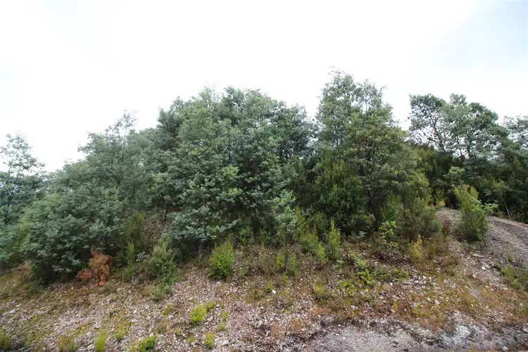 Third view of Homely land listing, Lot 2 Lyell Highway, Gormanston TAS 7466