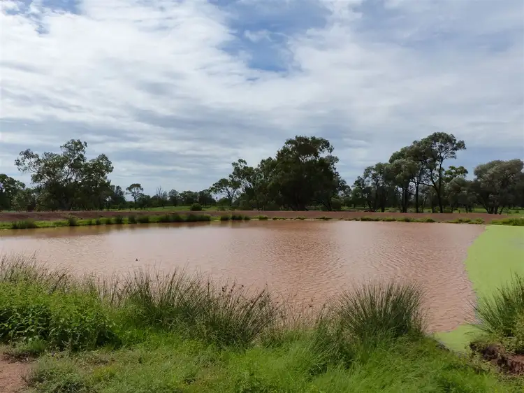 "Idaylia" 5129 Warrego Highway, Mungallala QLD 4467