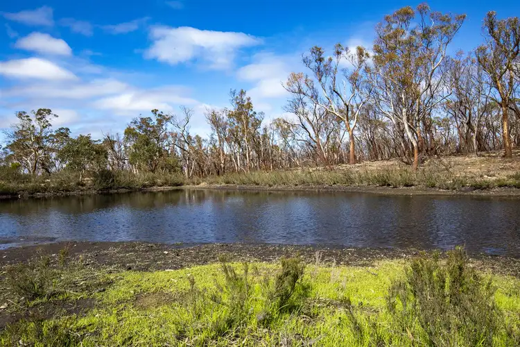 Third view of Homely rural property listing, 359 Foxes Elbow Road, Braidwood NSW 2622