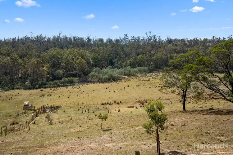 Fifth view of Homely land listing, 464 Green Valley Road, Bagdad TAS 7030