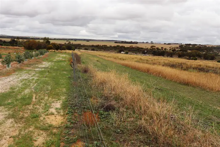 Second view of Homely land listing, 7 Danubin Street, Wongan Hills WA 6603