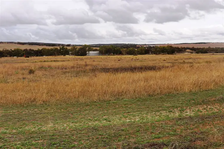 Third view of Homely land listing, 7 Danubin Street, Wongan Hills WA 6603