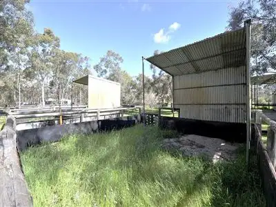 Sixth view of Homely rural property listing, 19 Mears Road, Barragup WA