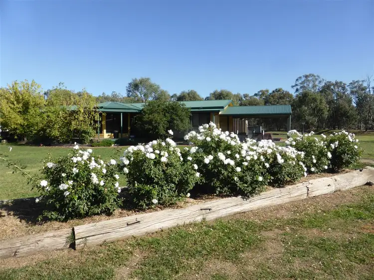 46 Sydney Road, Holbrook NSW 2644