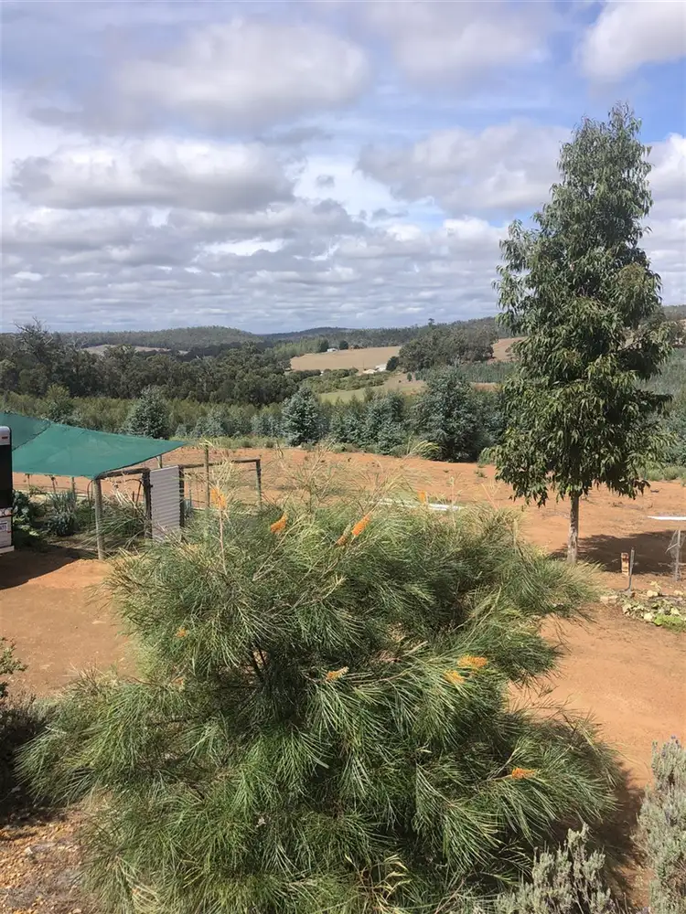 Fifth view of Homely rural property listing, ' Perup Road ', Manjimup WA 6258