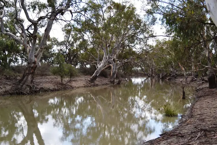 Second view of Homely rural property listing, 390 West Road, Capels Crossing VIC 3579